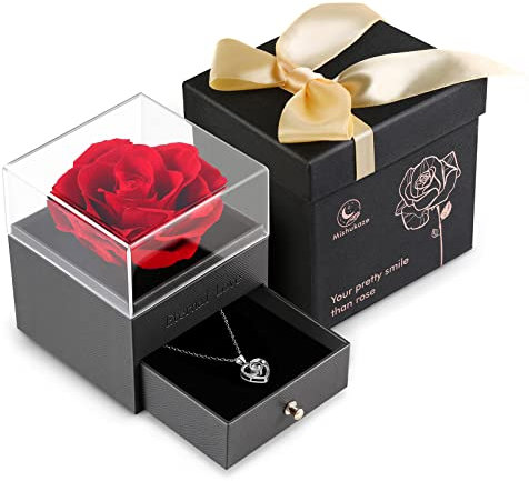 Mishukaze Ewige Rose Geschenkbox mit I Love You Halskette aus 925 Sterlingsilber, Echte Konservierte Rose Schmuck Rosenbox Geschenke für sie für Valentinstag/Geburtstag/Muttertag/Jahrestag (Rot)