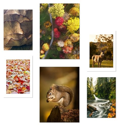 Nacnic-Set mit 6 Postern Kanadischer Herbst, Rot, Gelb und Braun. Natur und Inspiration Designillustrationen zur Dekoration der Wände Ihres Zuhauses. Räume A3 & A4 Rahmenlos