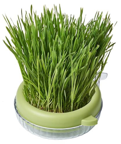 Cat Grass Planter for Indoor Cats, Hydroponic Cat Grass Growing Kit, Cat Grass Sprouting Tray, Soilless Culture Planting Container Foreasy Grow