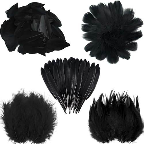 ARROMI 300 Stück Schwarze Federn, Federn Schwarz, Traumfänger Schwarz, Zum Basteln Natürliche Handwerksfedern Für Traumfänger Kostüme Hochzeit Halloween Party Dekorationen (5-Stile)