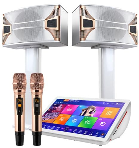 Equipo De Karaoke Profesional De 19,5 Pulgadas, Máquina De Karaoke Ktv Con Pantalla Táctil Capacitiva 4K Con Micrófono Inalámbrico Y Altavoz De 10 Pulgadas, Disco Duro De Alta Velocidad De 2T, 27 Idi