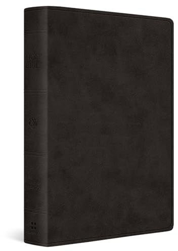 ESV Giant Print Value Personal Size Bible (TruTone, Black)