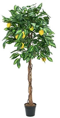 Großer künstlicher Zitronenbaum Limonen Kunstbaum 180cm hoch mit Naturstämmen 1046 Blätter und 20 Zitronen Limonen Früchten