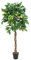 Großer künstlicher Zitronenbaum Limonen Kunstbaum 180cm hoch mit Naturstämmen 1046 Blätter und 20 Zitronen Limonen Früchten