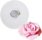 DUBENS 3D Rose Blume Kerze Formen, Rose Geformt Handwerk Kunst Silikon Form für Fondant Kuchen Dekoration, Der Bienenwachs Kerze Handgemachte Seife Lotion Bar Kreide Wachs Gips (D)