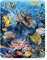 3D LiveLife Magnet - Riffwunder von Deluxebase. Linsenförmige 3D Korallen Kühlschrankmagnet. Dekoration für Kinder und Erwachsene mit Kunstwerk lizenziert von bekannt Künstler, Steven Michael Gardner