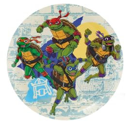 BeenSmile, Assiettes d'anniversaire des tortues NINJA, assiettes jetables pour fêtes d'enfants et fêtes à thème, articles de décoration d'anniversaire, 8 assiettes de 18 cm