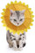 SLSON Schutzhalsbänder für Katzen und Halsbänder, verstellbar, konisch, für Heilhalsband zur Wundheilung, mit Sonnenblumen-Motiv, Gelb (S)