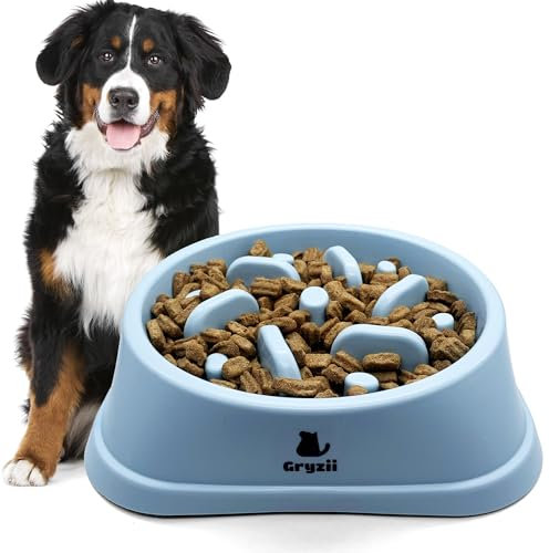 Gamelle Anti Glouton pour Chien de Grande Taille | Bol d'alimentation Lente et Saine, Favorise la Digestion de l'animal, Anti Vomissements, Pieds Antidérapants, Grand et Gros Chien XXL (Grand, Bleu)