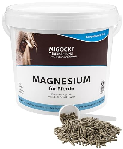MIGOCKI Magnesium für Pferde mit Tryptophan und Vitamin-B-Komplex - pelletiertes Ergänzungsfuttermittel (4 kg Eimer)