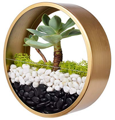 Ecosides -Macetas Colgantes Redondas,Metal Macetas de Pared, Terrarios Colgantes, Terrario Redondo, Jarrón de Metal para Pared, Jardín de Hadas Maceta para Flores,Maceta de Pared Colgante