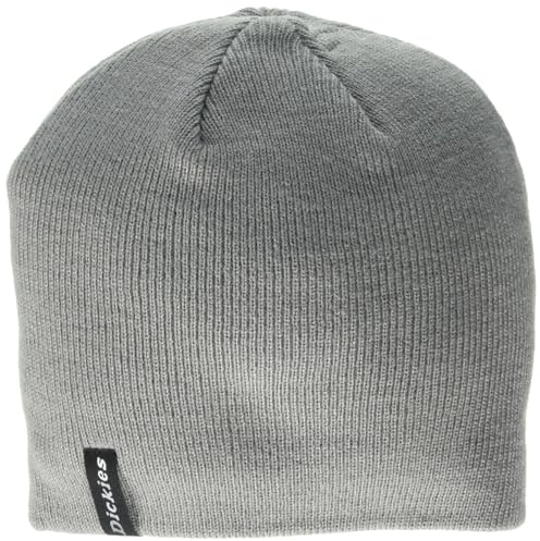 Dickies Herren Mütze mit Totenkopf-Motiv, GRAU, Einheitsgröße