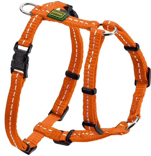 Geschirr Tripoli (orange, XXS-XS)