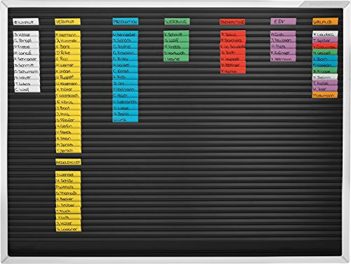 magnetoplan Streifensteckplaner | BxH 660x498 mm | Made in Germany | Planungskapazität: 38 Positionen untereinander | Organisationstafel zur Termin- und Personalplanung | Flexibel & robust