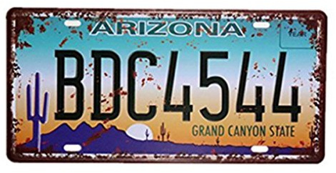 Eureya Auto-Nummernschild, für Zuhause/Café/Bar/Pub/Restaurant/Ausstellung, als Wanddekoration, im Vintage-Stil, 15,2 x 30,5 cm, metall, Arizona Bdc4544, 6x12