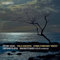Viola Concerto,String Symphony