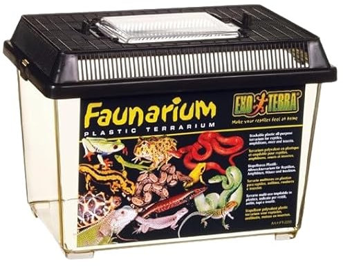 Exo Terra PT2255 Standard Kunststoffbox – Faunarium, klein