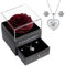 Yamonic Rosa Eterna Regalos Originales para Mujer,Rosa Eterna Natural Preservada con Collar y Pendientes de Plata de Ley 925,Flore Preservada Regalo Navidad San Valentin Dia de la Madre Cumpleaños