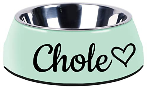 Gamelles personnalisées pour chien et chat - Avec nom personnalisé - Pour nourriture et eau - Fond antidérapant - Vert