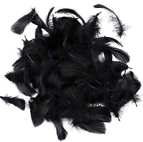 Suneast 300 Stücke Federn Dekoration Natürliche Gänsefedern Weiche Crafts Feather Indianer Federn für Traumfänger Basteln, Kostüme Hüte Schmuck Deko, DIY Ohrring - Schwarz, 8-12cm