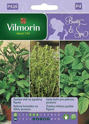 Portal Cool Vilmorin Herb Seed Mix Per figura femminile, basilico, timo levistico, bellezza:SEEDS