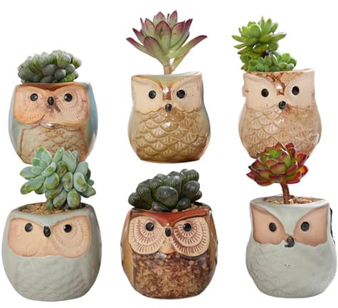 Gcroet Sukkulente Pflanzentopf Außen im Freien Kaktuspflanzen Topf Kleiner Keramik Blüten Pot Pflanzenhalter für Home Office Decor Owl Style 6pcs