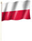 Stockflagge/Stockfahne POLEN Flagge/Fahne ca. 30 x 45 cm mit ca. 60cm Stab/Stock