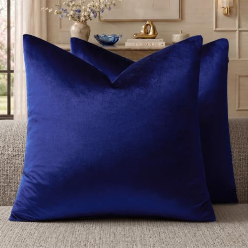 GIGIZAZA Lot de 2 housses de coussin décoratives en velours doux pour canapé-lit, bleu roi, 45,7 x 45,7 cm