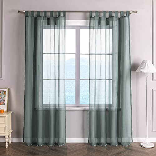 ESLIR Gardinen mit Schlaufen Vorhänge Fensterschal Transparent Schlaufenschal Voile Grau BxH 140x245cm 1 Stück