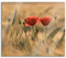 Zwei schöne Mohnblumen Herdabdeckplatte & Spritzschutz aus Echtglas | Für Herd-Kochfelder | 60x52 cm