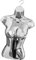 Perfeclan Weiblicher Schaufensterpuppen-Torso, weibliches Kleidermodell, Mode-Körper-Requisiten, halbe Länge, weibliche Schaufensterpuppe, Schneiderpuppe für, Silber