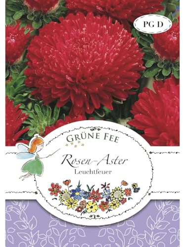 Grüne Fee - Rosen-Aster Leuchtfeuer Samen - 13155