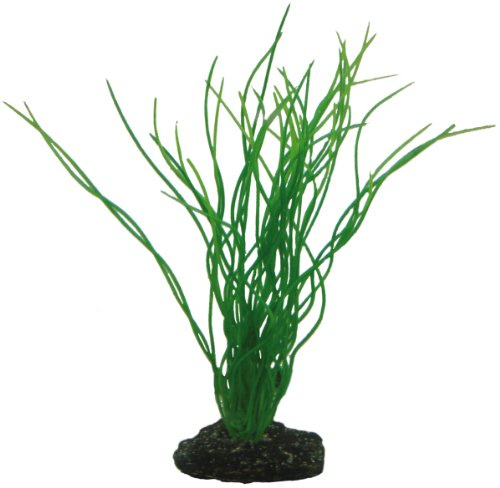 Hobby Aquaristik Sagittaria I 20 cm I Naturgetreue künstliche Aquarienpflanze I Keine Beeinflussung der Wasserqualität I Pflegeleicht
