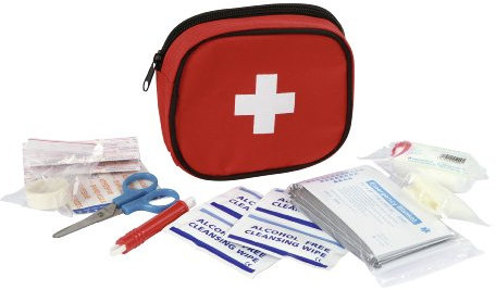 Kerbl 82236 Erste-Hilfe-Tasche für Hunde 15 x 13 x 4 cm