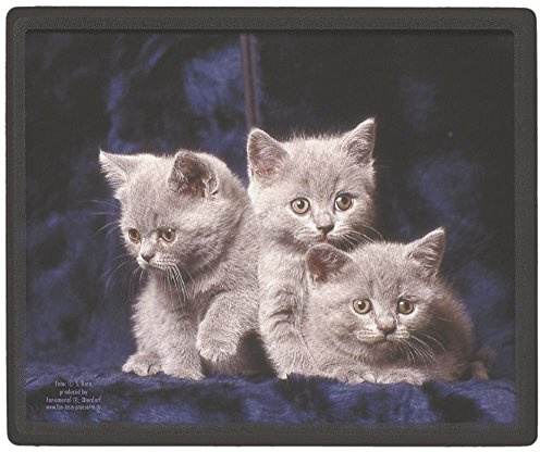 Mauspad Mousepad - 3 Kätzchen Silberkätzchen - KA281 Gr. 24 x 20cm