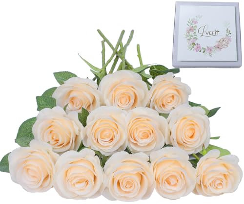 LVEFIT Künstliche Rosenblume, künstliche Blumen mit langem Stiel, Seidenrosen, Blumenstrauß für Hochzeit, Brautparty, Party, Heimdekoration (Champagner, 12 Stück)