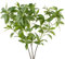 Avoik Künstliche Grünpflanzen Stämme 3Pcs Faux Leaf Zweige, 80cm Tall Fake Zweig Zweige Blätter Künstliche Ficus Grün Pflanze Stämme für Heimbüro Vase Hotel Garten Dekor