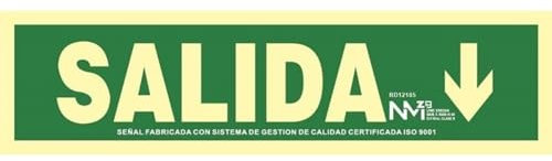 Normaluz NM RD12105 - Señal Luminiscente Salida Flecha Abajo Clase B PVC 0.7mm 10.5 x 42 cm con CTE, RIPCI y Apto para la Nueva Legislación, Verde