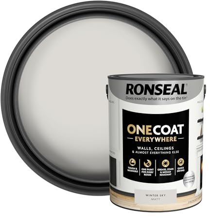 Ronseal One Coat Everywhere Paint Winter Sky Matt 5L