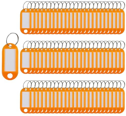 SENRISE Key Tags 100 Pieces Keyring Tags Key Labels Plastic Key Fobs Id Tags Key Rings Name Tags Luggage Id Labels with Labels Split Ring Keyring