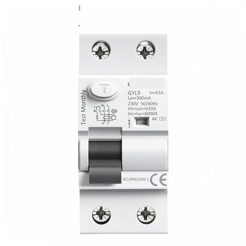 SSDXFJZR Disjoncteur différentiel électromagnétique GYL9 AC, 2 pôles, 25 A, 40 A, 63 A, 80 A, 100 A, 30 mA, 100 mA, 300 mA, 1 pièce