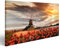 islandburner Bild Bilder auf Leinwand Traditionelle niederländische Windmühlen mit roten Tulpen in Zaanse Schans, Amsterdam-Bereich, Holland Wandbild, Poster, Leinwandbild KMR