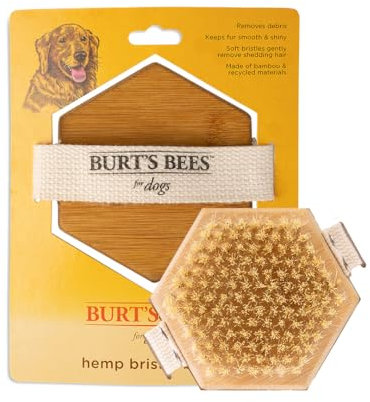 Burt's Bees for Pets Handflächenbürste mit Hanfborsten, ergonomische Hundebürste, um große Hunde zu pflegen, leicht zu haltender Hundebürstengriff reduziert die Belastung Ihres Handgelenks, ideal für