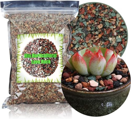 GOTVUGE Mélange de pierres de lave horticoles - Ponce succulente - Cactus naturel en pot - Pour bonsaï de jardin, gravier, 500 g