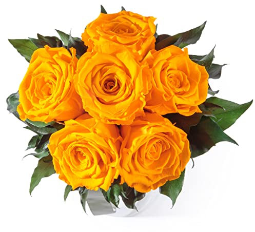 Blumenstrauss konserviert mit 6 Rosen - Rosemarie Schulz (Gelb)