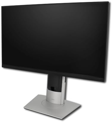 Dell 24 TFT Monitor Professional P2422H