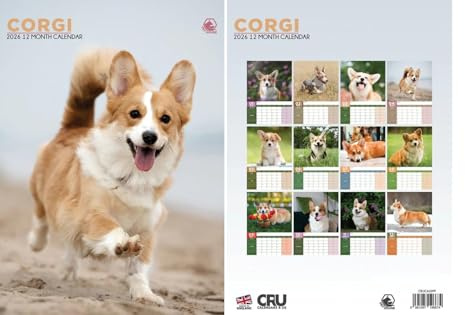 Corgi Kalender 2026, A3, 30 x 42 cm, 12 Monate tolle Fotografie