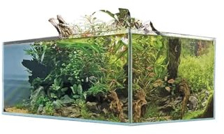 Aquariumline Shallow Tank Aquarium 45 x 25 x 18 cm – extraklares Glas, rechteckiges Design für Aquascaping und Nano-Aquarien (45 x 25 x 18 H)