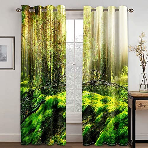 Vorhang Blickdicht 3D Grüne Moos Sonnige Landschaft 220(B) X215(H) cm Muster Ösenschal - 2 Stücke Verdunklungsvorhänge Mit Ösen Schlafzimmer Wohnzimmer Schallschutz Vorhang Verdunkelung Gardinen, Vo