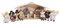 Winzlinge® 309-22 Krippenfiguren Set - Weihnachtsgeschichte